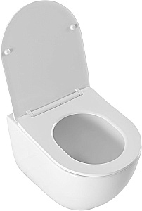 Подвесной унитаз Aquanet EcoVortex 348039 слив-торнадо, с крышкой микролифт, белый глянцевый купить в интернет-магазине Sanbest