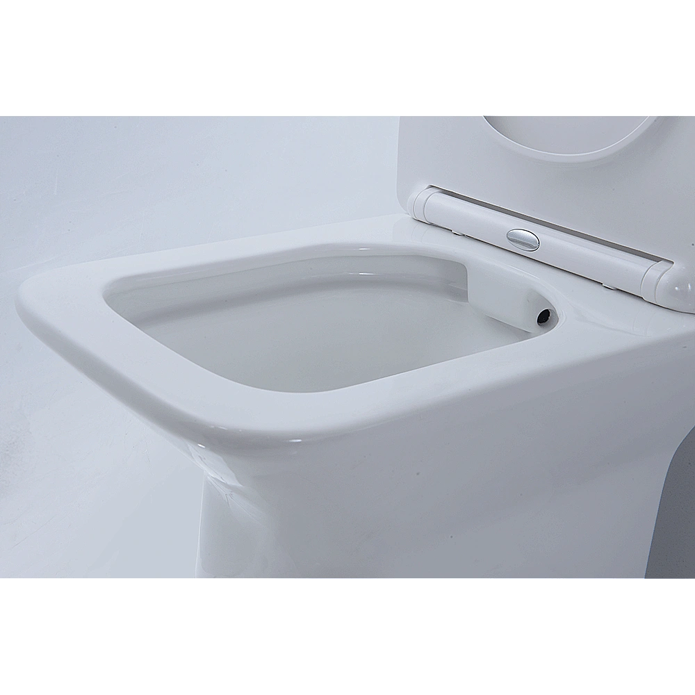 Унитаз-компакт Orans Ceramic OLS-WM9905 безободковый, с бачком, с крышкой микролифт купить в интернет-магазине Sanbest