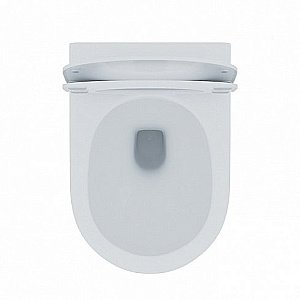 Унитаз подвесной IDDIS Calipso CALRDSEi25 безободковый, с крышкой микролифт купить в интернет-магазине Sanbest