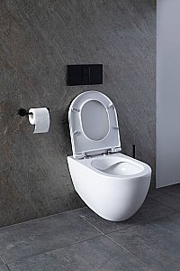 Унитаз Allen Brau Reality 4.32006.20 безободковый, с крышкой микролифт, белый купить в интернет-магазине Sanbest