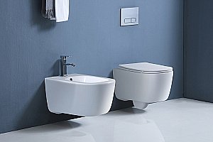 Унитаз подвесной Aquatek Лугано AQ2002-00 белый, с крышкой микролифт, безободковый купить в интернет-магазине Sanbest