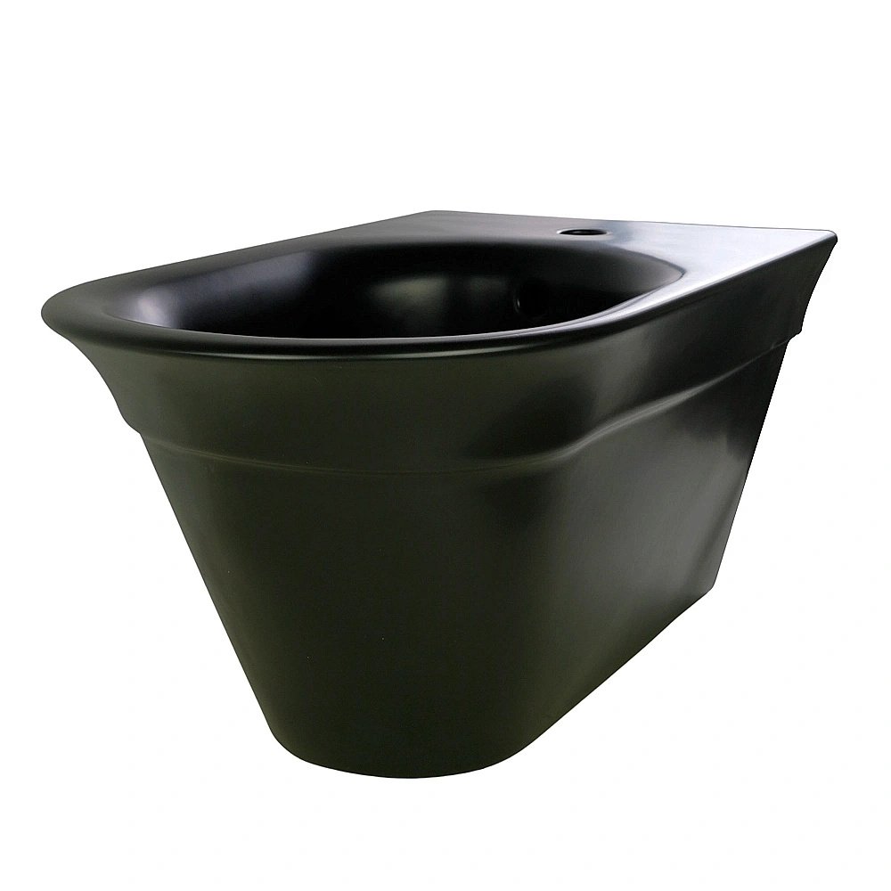 Биде подвесное Migliore MONACO 32069 черный матовый купить в интернет-магазине Sanbest