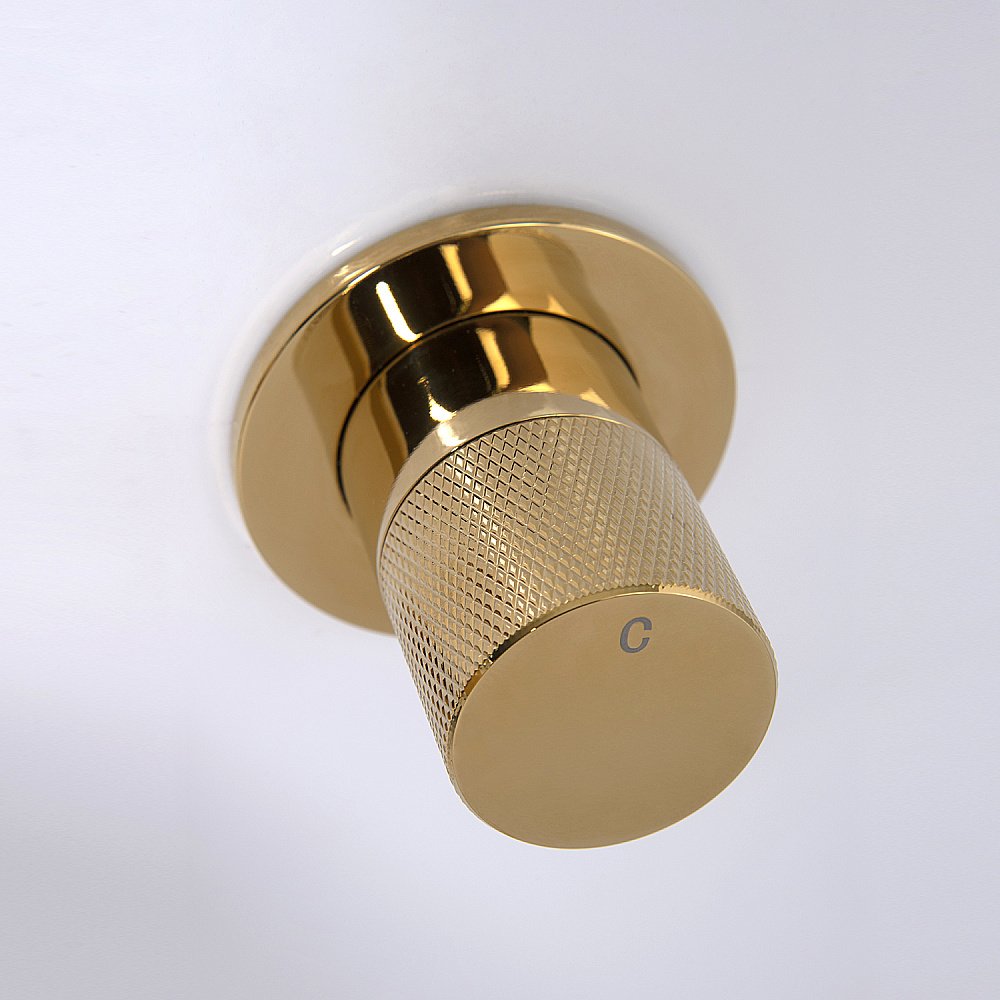 Смеситель для раковины WasserKRAFT Ems 7600 7645 золото купить в интернет-магазине сантехники Sanbest