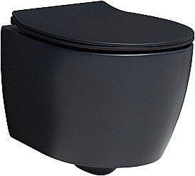 Унитаз Allen Brau Fantasy 4.11004.31 безободковый, с крышкой микролифт, черный купить в интернет-магазине Sanbest