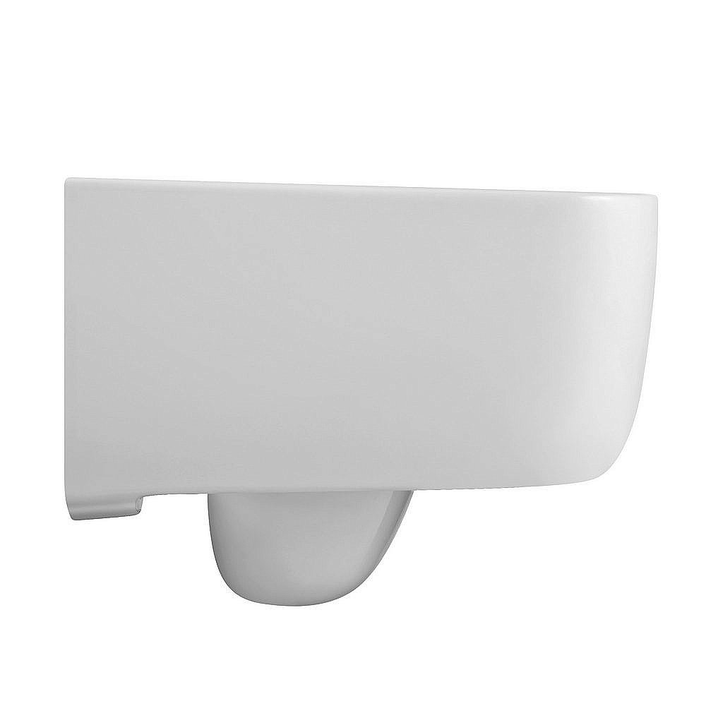 Унитаз подвесной Black&White Universe W-730 белый купить в интернет-магазине Sanbest