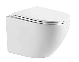 Унитаз подвесной WeltWasser MERZBACH 043 MT-WT белый матовый купить в интернет-магазине Sanbest