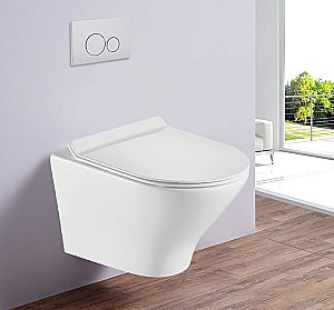 Унитаз подвесной Esbano ASTER ESUPASTEW безободковый, с крышкой микролифт, белый купить в интернет-магазине Sanbest