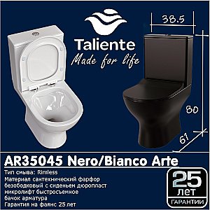 Унитаз напольный Taliente Arte AR35045 безободковый, с бачком, с крышкой микролифт, белый купить в интернет-магазине Sanbest