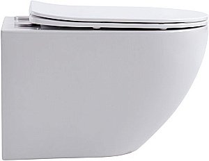 Унитаз подвесной Aquanet Rimless Cetus 2.0 W LX-1901 с крышкой микролифт, безободковый купить в интернет-магазине Sanbest