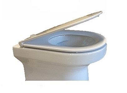 Унитаз подвесной Jacob Delafon ELITE EDX114RU-00 безободковый, с крышкой микролифт купить в интернет-магазине Sanbest