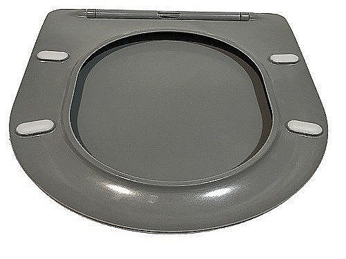 Унитаз подвесной CeramaLux B2330-3MH светло-серый матовый, безободковый, с крышкой микролифт купить в интернет-магазине Sanbest