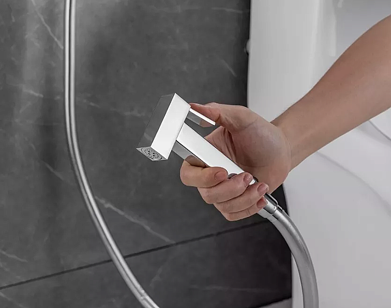 Гигиенический душ Allen Brau Infinity 5.21005-BN никель брашированный купить в интернет-магазине сантехники Sanbest