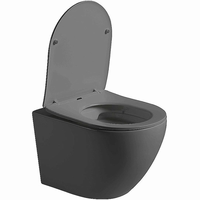 Унитаз Vincea Globo VT1-14SMA безободковый, с крышкой микролифт, антрацит матовый купить в интернет-магазине Sanbest