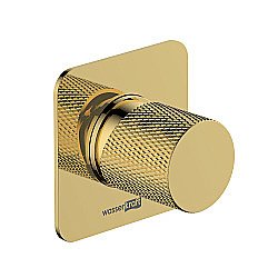 Смеситель для душа WasserKRAFT Ems 7600 7651 золото купить в интернет-магазине сантехники Sanbest