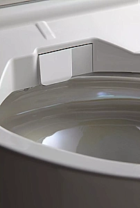 Унитаз подвесной TOTO NEOREST CW994P#NW1 с крышкой-биде WASHLET TCF994RWG#NW1 безободковый, слив торнадо, белый купить в интернет-магазине Sanbest