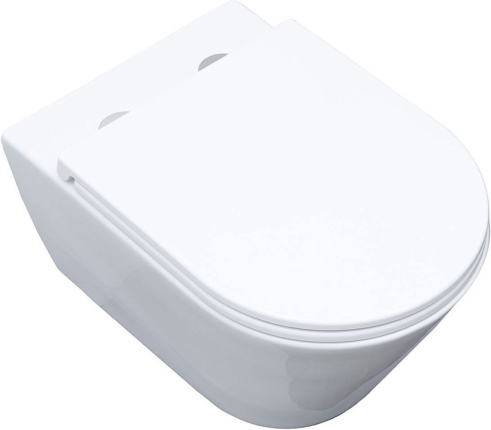 Унитаз подвесной Aquanet Lake белый с крышкой микролифт, безободковый купить в интернет-магазине Sanbest
