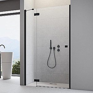 Душевая дверь Radaway Essenza New Black KDJ 120 купить в интернет-магазине Sanbest
