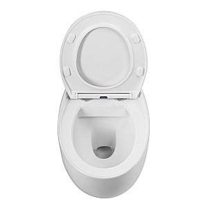 Унитаз Art&Max FORLI AM020CHR/SC белый, с крышкой микролифт, безободковый купить в интернет-магазине Sanbest