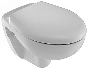 Унитаз подвесной Jacob Delafon BRIVE E4345G-00 купить в интернет-магазине Sanbest