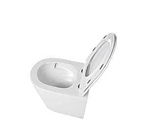 Унитаз напольный River ONTARIO 640 WT 10000013711 белый, безободковый, с бачком, с крышкой микролифт, слив торнадо купить в интернет-магазине Sanbest