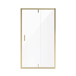 Душевая дверь Niagara Nova NG-43-12AG 120 купить в интернет-магазине Sanbest