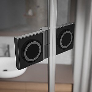 Душевая дверь Radaway Essenza Pro Brushed Nickel DWJ 120 стекло прозрачное/профиль брашированная оружейная сталь купить в интернет-магазине Sanbest