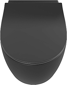 Унитаз подвесной Allen Brau Fantasy 3 Vortex 4.11035.31 черный матовый, с крышкой микролифт, слив торнадо купить в интернет-магазине Sanbest