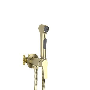 Гигиенический душ Aquatek Лугано AQ1719BG золото шлифованное купить в интернет-магазине сантехники Sanbest