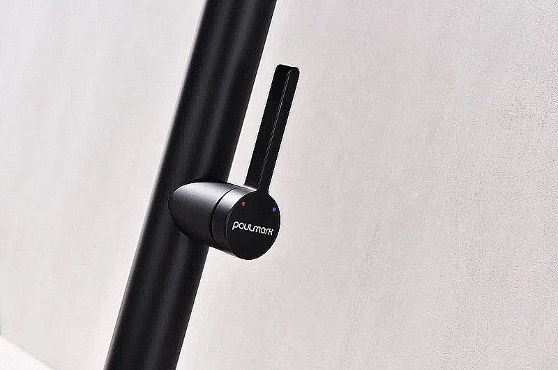 Смеситель для кухни Paulmark Leader Le214101-AN антрацит купить в интернет-магазине сантехники Sanbest