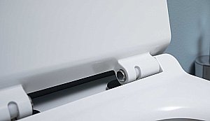 Унитаз подвесной Aquanet Rimless Cetus W Short LX-1900 с крышкой микролифт, безободковый купить в интернет-магазине Sanbest