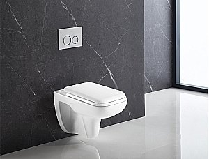 Унитаз подвесной Azario Pavia AZ-2005 купить в интернет-магазине Sanbest