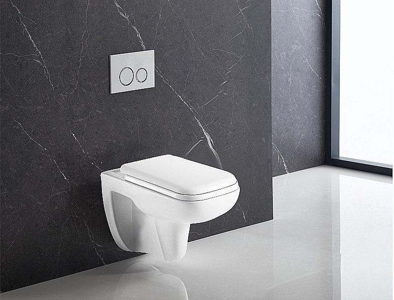 Унитаз подвесной Azario Pavia AZ-2005 купить в интернет-магазине Sanbest