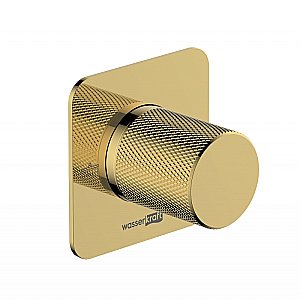 Дивертор Wasserkraft Ems A303 2 выхода, золото для смесителя в интернет-магазине сантехники Sanbest