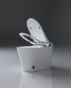 Унитаз-биде электронный TIMO TЕ-741 с крышкой микролифт купить в интернет-магазине Sanbest