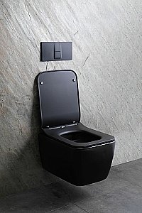 Унитаз подвесной Allen Brau Liberty 2 4.33007.31 черный матовый, безободковый купить в интернет-магазине Sanbest
