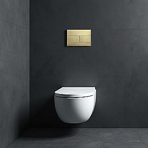 Кнопка смыва для инсталляции механическая WONZON & WOGHAND, Брашированное золото (WW-IB235-BG) купить в интернет-магазине сантехники Sanbest