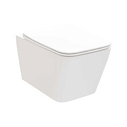 Унитаз Ravak NATURAL X01984 белый,с крышкой микролифт, безободковый купить в интернет-магазине Sanbest