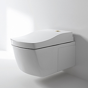Унитаз TOTO NEOREST AC CW996PVD#NW1 с крышкой-биде WASHLET® AC 2.0 TCF996RWG#NW1 безободковый, слив торнадо, белый купить в интернет-магазине Sanbest