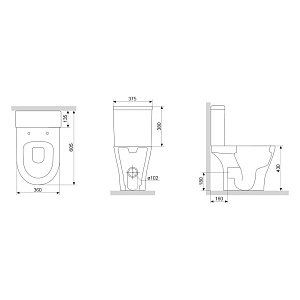 Унитаз Damixa SIRIUS DX86C8600SC белый, с крышкой микролифт, с бачком, безободковый купить в интернет-магазине Sanbest