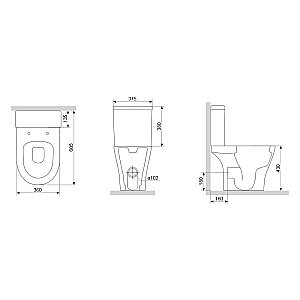 Унитаз Damixa SIRIUS DX86C8600SC белый, с крышкой микролифт, с бачком, безободковый купить в интернет-магазине Sanbest