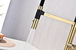 Смеситель для кухни Paulmark Leader Le214101-LG светлое  золото купить в интернет-магазине сантехники Sanbest