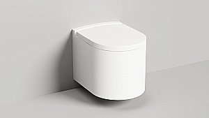 Унитаз подвесной Salini Gemelli 240121KMF из искусственного камня S-Stone, безободковый, с крышкой микролифт, RAL снаружи купить в интернет-магазине Sanbest