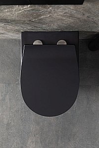 Унитаз подвесной Allen Brau Reality 4.32006.31 черный матовый, безободковый, с крышкой микролифт купить в интернет-магазине Sanbest