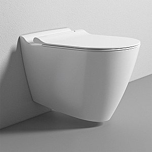 Унитаз подвесной Bien Mineral MNKA052N1VP0W3000 белый, с крышкой микролифт, безободковый купить в интернет-магазине Sanbest