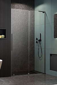 Душевая дверь Radaway Furo SL Brushed GunMetal DWJ 120 стекло прозраное/профиль брашированная оружейная сталь купить в интернет-магазине Sanbest