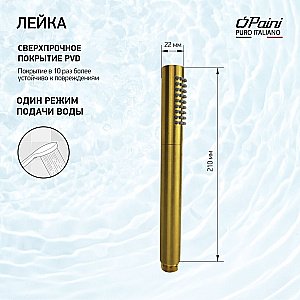 Душевая лейка Paini Tonda 53PJ155AS золото брашированное купить в интернет-магазине сантехники Sanbest
