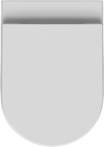 Унитаз приставной Allen Brau Reality 4.32004.20 белый, безободковый, с крышкой микролифт купить в интернет-магазине Sanbest