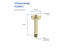 Держатель верхнего душа Aquatek AQ2171BG золото шлифованное купить в интернет-магазине сантехники Sanbest