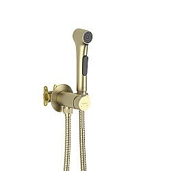 Гигиенический душ Aquatek Европа AQ1020BG золото шлифованное купить в интернет-магазине сантехники Sanbest