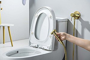 Гигиенический душ Aquatek Европа AQ1021BG золото шлифованное купить в интернет-магазине сантехники Sanbest